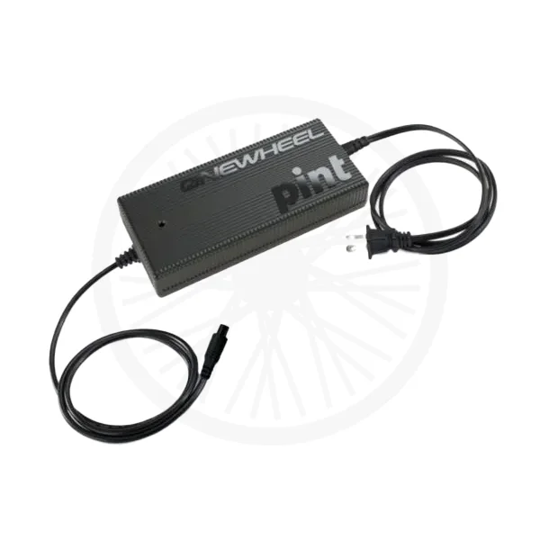 CHARGEUR PINT (1)
