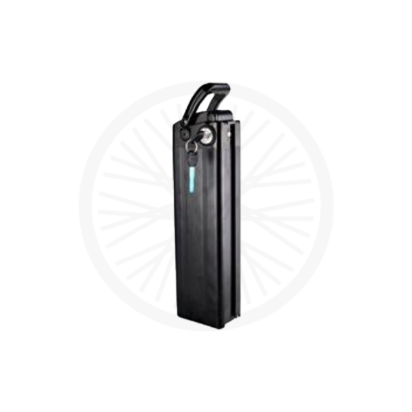 48V 20 AH BATTERIE_